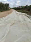 Greenhouse Polythene Cover - 3