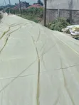 Greenhouse Polythene Cover - 4