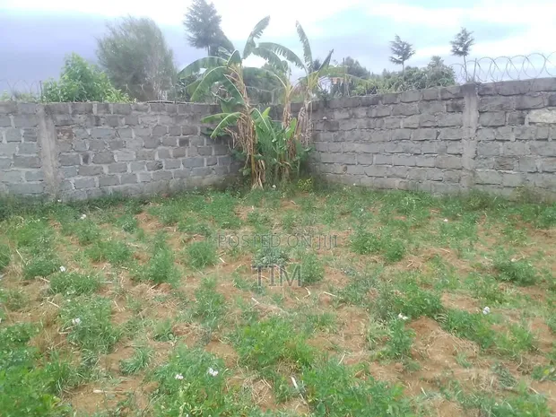Kiwanja cha Makazi kwa Uuzaji Ngomongo, Gatimu - 1
