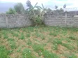 Kiwanja cha Makazi kwa Uuzaji Ngomongo, Gatimu - 1