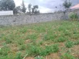 Kiwanja cha Makazi kwa Uuzaji Ngomongo, Gatimu - 3