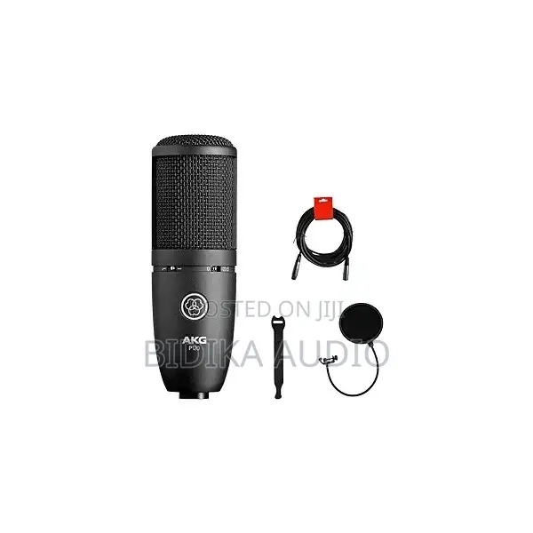 AKG P120 Cardioid Condenser Microphone - 1