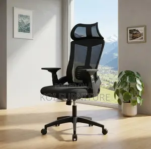 Lammar Ergonomic Office Chairs - Nyeusi