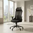 Lammar Ergonomic Office Chairs - Nyeusi - 3