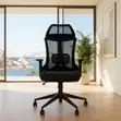 Lammar Ergonomic Office Chairs - Nyeusi - 4