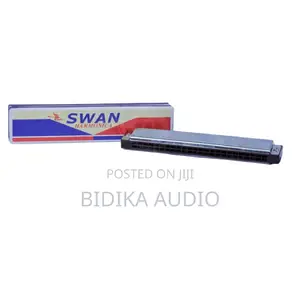 Harmonica Swan Mbili-Upande 24 Hole
