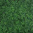 Premium Artificial Hedge Panels - Mpya Kabisa - 1