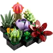 LEGO Icons Succulents 10309 - 3