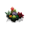 LEGO Icons Succulents 10309 - 4