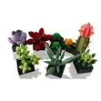 LEGO Icons Succulents 10309 - 5