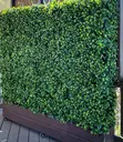 Artificial Greenery Wall Hedge Panels - Mpya Kabisa - 1