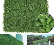 Modern Artificial Hedge Panels - Brand New - 1