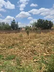 Kahawa Sukari Geoffrey Lourutte Road Prime 1/4 Acre Plot - 3