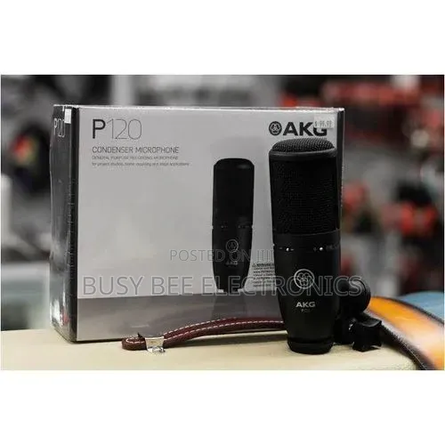 P120 Cardioid Condenser Microphone (Iweusi) - 1