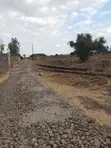 Kitengela Quarter Acre Plots - Distress Sale - 5