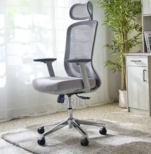 Orthopedic Gray Staff Office Chair - Brand New