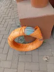 25kg Coil ya waya wa Galvanized - 2