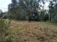 Kiota cha 0.3 Ekari kwa Uuzaji Mua Hills - 3
