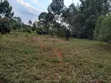 Kiota cha 0.3 Ekari kwa Uuzaji Mua Hills - 4