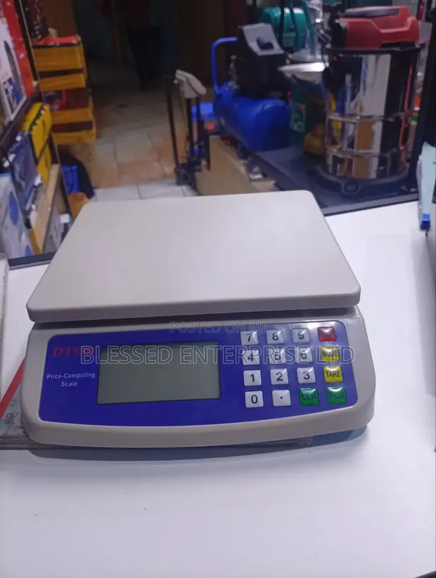 Platform Weighing Scale (1g - 30kg) - 1