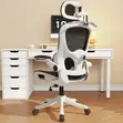 Kiti cha Ofisi cha Ergonomic chenye Msaada wa Mgongo - 2