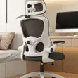 Kiti cha Ofisi cha Ergonomic chenye Msaada wa Mgongo - 4
