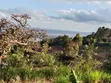 Eneo la Eka 1.5 kwa Uuzaji Mua Hills - 1