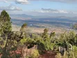 Eneo la Eka 1.5 kwa Uuzaji Mua Hills - 2