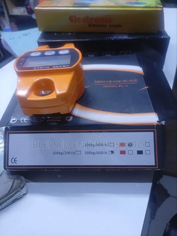 300kg Mini Crane Scale - 1