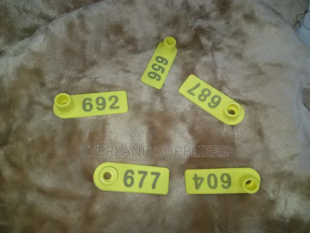 Visible Animal Ear Tags - 1