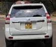 Toyota Land Cruiser Prado TX 2014 Petrol - 2