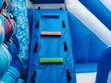 Frozen Theme Bouncing Castle for Hire - 3