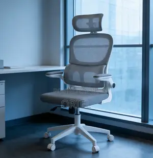 Kiti cha Ofisi Nyeupe cha Ergonomic chenye Mgongo Mrefu wa Orthopedic