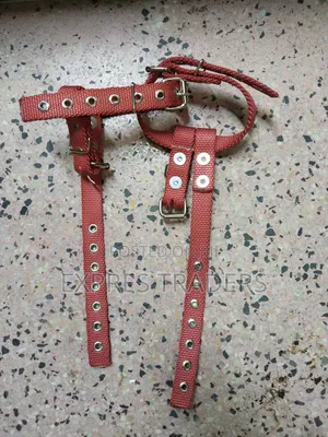 Wooden Pole Climber Straps