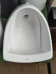 Brand New Cotto Wall Hung Urinal Bowl - 2