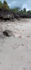 Ardhi ya Pwani ya Diani - Ekari 25.5 Zinauzwa - 3