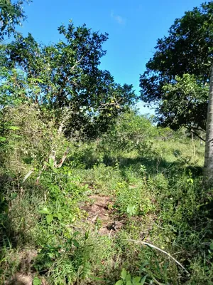 Musambweni 500 Acres Land for Sale, Kwale County