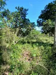 Musambweni 500 Acres Land for Sale, Kwale County - 1