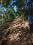 Musambweni 500 Acres Land for Sale, Kwale County - 2