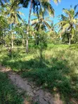 Musambweni 500 Acres Land for Sale, Kwale County - 3