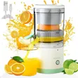 Juicer ya Mzaituni ya Umeme Inayochajiwa - 2
