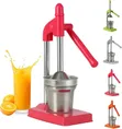 Heavy Duty Metallic Manual Citrus Juicer Stand Machine - 1