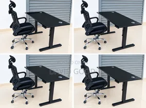 Adjustable Electric Standing Desk