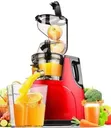 Starlux Slow Juicer (Model: SL-21030) - 2