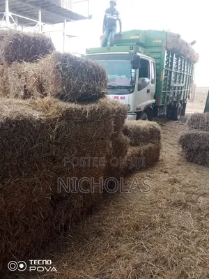 Boma Rhodes, Majani ya Ngano na Shayiri Yanapatikana