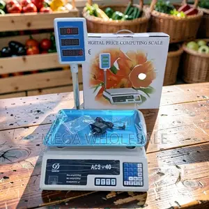 ACS 40 Digital Weighing Scale (40kg)