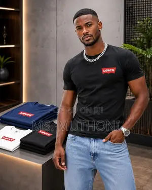 Reebok, Levis, Calvin Klein T-Shirts (L-4XL)