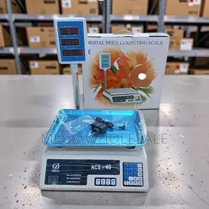ACS 40 Digital Weighing Scale (40kg)