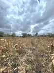 Residential Plot for Sale, Milimani Kitengela - 2