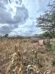 Residential Plot for Sale, Milimani Kitengela - 3